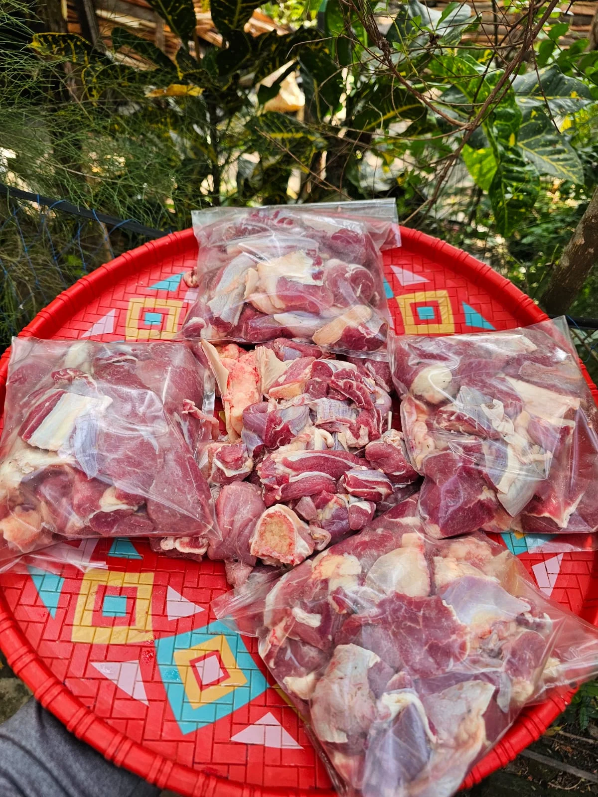 5kg Beef Bone-In Offer