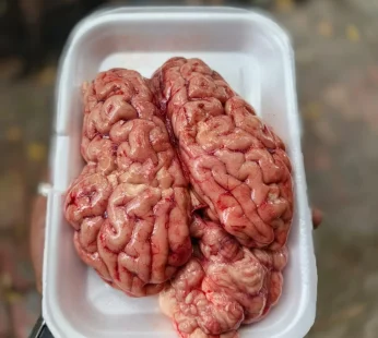 Beef Brain
